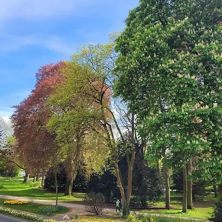 Mit Blick In Den Emsseepark * Warendorf