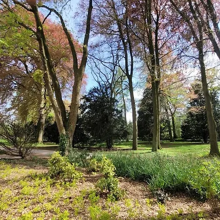 Mit Blick In Den Emsseepark アパート