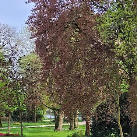 Mit Blick In Den Emsseepark * Warendorf