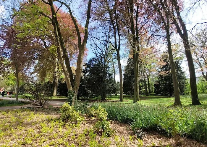 Mit Blick In Den Emsseepark شقة