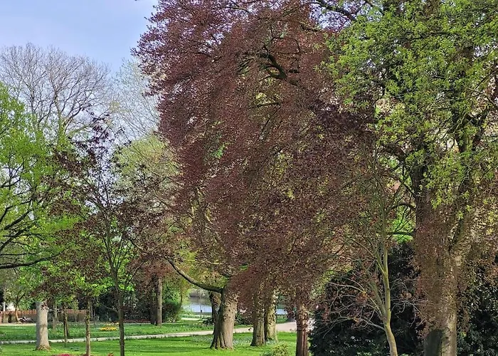 Mit Blick In Den Emsseepark * فارندورف